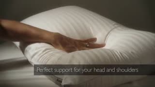 بالش دانلوپیلو