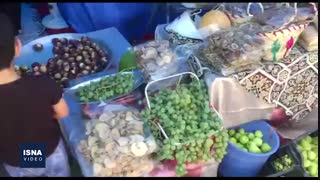 ششمین جشنواره انجیر در گلوگاه مازندران