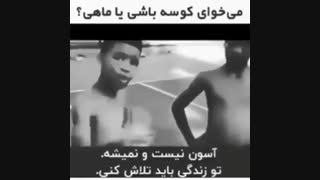 کوسه یا ماهی