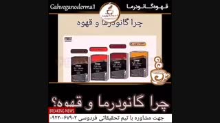 گانودرما و درمان 200 بیماری