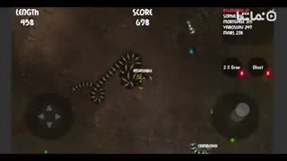 insatiable io snakes