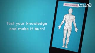 94 Degrees: fun trivia quiz