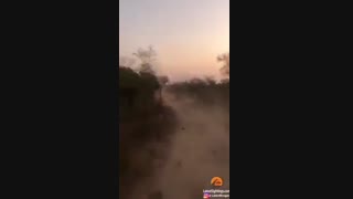 حمله کرگدن به خودرو