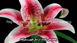 ویدئویی در مورد اهمیت رگتک