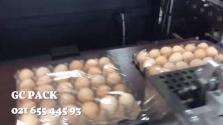 دستگاه شیرینک پک اتوماتیک - 93 445 655 021