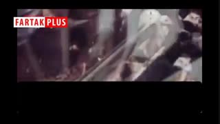 راز قیمت پایین مرغ در اروپا فاش شد