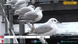 پل چپل سوییس، زیباترین پل چوبی جهان در شهر لوسرن - بوکینگ پرشیا bookingpersia