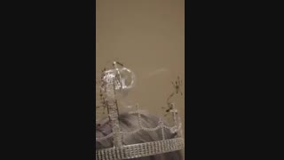 Billie Eilish - you should see me in a crown (Vertical Video)