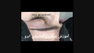آموزش میکروپیگمنتیشن
