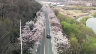 سریال دکتر جان قسمت اول  doctor john 2019 +  با زیرنویس چسبیده