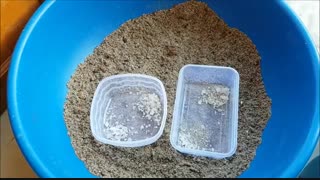 آموزش کاشت بذر کاکتوس