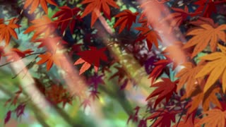 تریلر ژاپنی انیمه اسم تو .Your Name