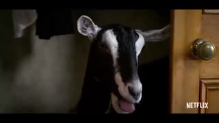 Falling Inn Love 2019