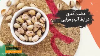 از کجا شروع کنم...احداث باغ پسته