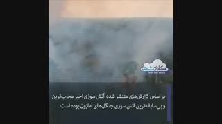 فاجعه ای به وسعت آمازون