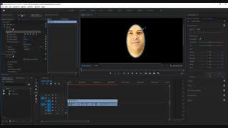 اصلاح رنگ پوست در پریمیر