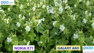 مقایسه دوربین گوشی های Samsung Galaxy A60  و NOKIA X71