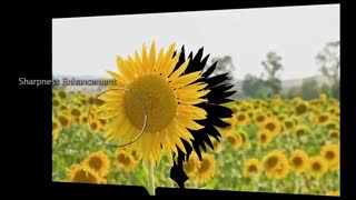 تلویزیون ال جی مدل SM8100