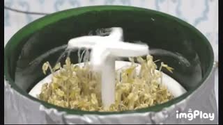 دستگاه جوانه ساز