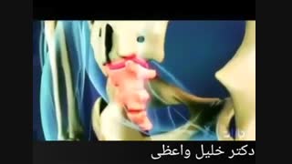 کسانی که مشکل درد در ناحیه دنبالچه دارند حتما ببینند