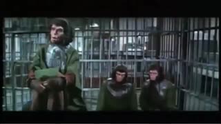 Escape from the Planet of the Apes 1971