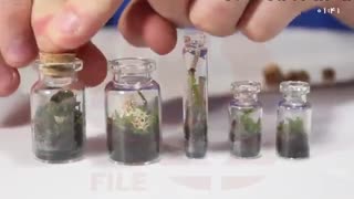 آموزش ساخت تراریوم