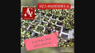 دستگاه روغن گیر زیتون