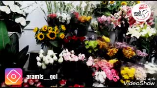 گلفروشی آرامیس  09125006719