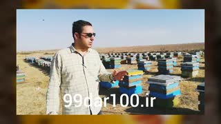 نحوه تولید عسل طبیعی