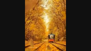 منظره دلنشینی از پائیز...