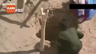 رهبر انقلاب: برخی هنرپیشه‌های ما همه‌فن‌حریف‌ هستند