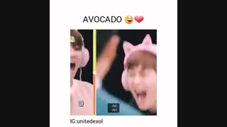 جررررر خوردم از خندهههههه!!!!!! الهی بمیری آووکادووووووو (اکسو فان)