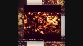 من خر- گاو -بیشعور -نفهم -گراز هستم
