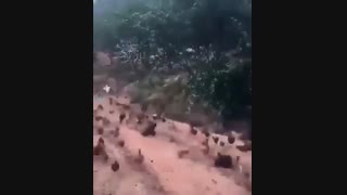 زنگ آخر مدرسه