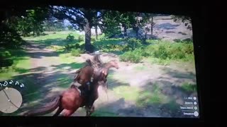 game play red dead2