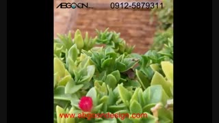 ساخت انواع  آبنما دیواری-آبگون دیزاین