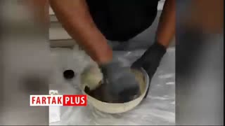 ایده ساخت گلدان بتنی کوچک و زیبا