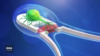 از اثبات نظریه انیشتین  تا ساخت ربات‌هایی تازه