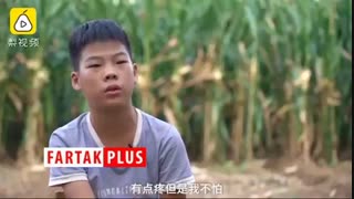 با این بزرگمرد کوچک آشنا شوید