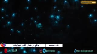 غار وایتومو در نیوزلند، غار مرموزی که ستاره باران شده است - بوکینگ پرشیا
