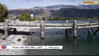 دریاچه واناکا در نیوزلند،تنهاترین درخت جهان در میان آب - بوکینگ پرشیا