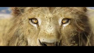 علی پوراحمد کارگردان فیلم های علمی تخیلی در ایران و آمریکا -جلوه های ویژه - جلوه های بصری - ژانر علمی تخیلی در سینمای ایران