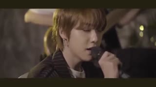 MV-ONEWE(Reguls)