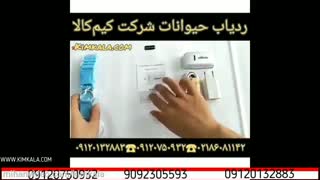 ردیاب حیوانات | ردیاب قلاده ای | دزدیده شدن حیوانات | آگهی حیوانات گم شده | آموزش استفاده از ردیاب حیوان | 09120750932