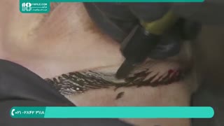 آموزش تاتو ابرو