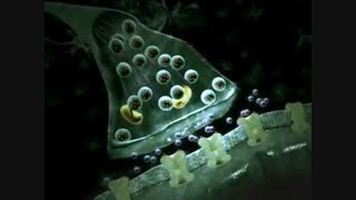 Neurotransmitter Synapse 3D Animation