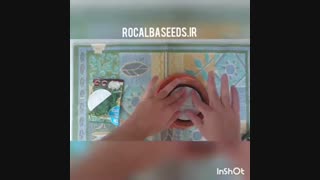 فیلم آموزشی کاشت بذر کارتی جعفری ایتالیایی