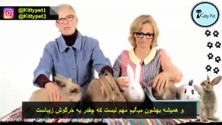 معرفی انواع مختلف نژادهای خرگوش