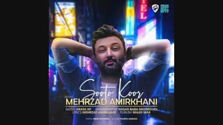 مهرزاد امیرخانی سوت و کور