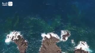 روز جهانی جهانگردی